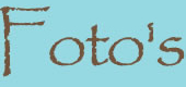 Foto's